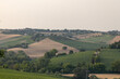 Marche Region Countryside with grainfields