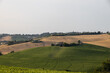 Marche Region Countryside with grainfields near San Marcello