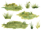 Fototapeta Dziecięca - Watercolor green grass isolated on white background. Hand drawn illustration.