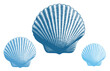 Seashell. Marine life. Editable hand drawn illustration. Vector vintage engraving. Isolated on a white background. 8 EPS