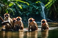A Group Of Playful Monkeys Enjoying A Refreshing Dip In A Jungle River, Their Laughter Filling The Air