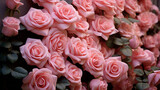 pink roses bouquet  HD 8K wallpaper Stock Photographic Image