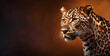 Leopard big cat background.