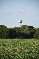 Poster - Soybean Field with a Water Tower in the Distance