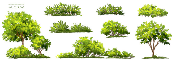 Wall Mural - vector watercolor green tree or forest side view isolated on white background for landscape and arch