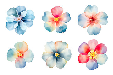 Wall Mural - Watercolor flowers set. Hand-painted flower illustrations bundle. Isolated on transparent background