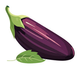 Sticker - Fresh eggplant vegetables, ripe for healthy eating