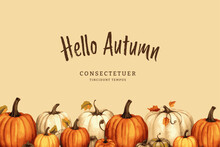 Halloween Banner With Tradition Symbols. Autumn Pumpkins Illustration