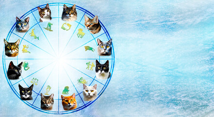 Wall Mural - zodiac wheel with twelve cats in horoscope fields over blue background with copy space like astrology and feline concept with AI elements 