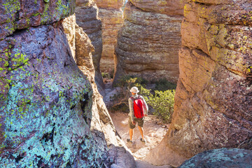 Wall Mural - Chiricahua