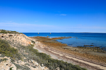 Wall Mural - Rocky coastline beneath clear blue sky