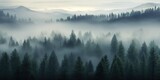 Fototapeta Natura - AI Generated. AI Generative. Adventure outdoor nature mist fog clouds forest trees landscape background wild explore. Graphic Art