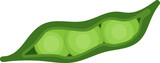 Fototapeta Motyle - beans edamame pea vector icon isolated on white background