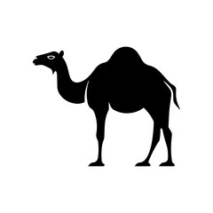 Wall Mural - camel silhouette illustration 