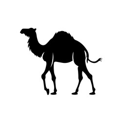 Wall Mural - camel silhouette illustration 