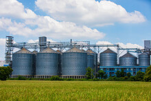 Plant For The Drying And Storage Stainless Silo Grain. Rice Plant In The Middle Of Fields.