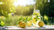 © DanteVeiil - Summer refreshing cold summer lemonade drink or alcoholic cocktail with ice, rosemary and lemon slices on the table in the garden. Fresh healthy cold lemon beverage. Water with lemon