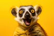 Studio portrait of shocked lemur, isolated on yellow