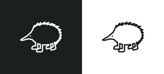 Poster - echidna outline icon in white and black colors. echidna flat vector icon from animals collection for