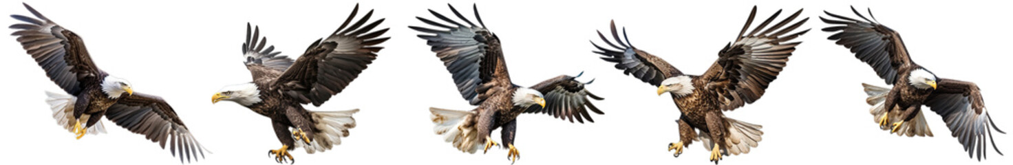 set of eagles isolated on a transparent background. generative ai
