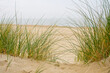 © Ilja - Sand dunes with marram grass and empty beach on Dutch coastline. Netherlands in overcast day. The dunes or dyke at Dutch north sea coast