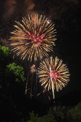 night sky with colorful fireworks exploding over the tree tops near minneapolis minnesota