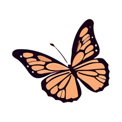 Sticker - Vibrant butterfly on white background