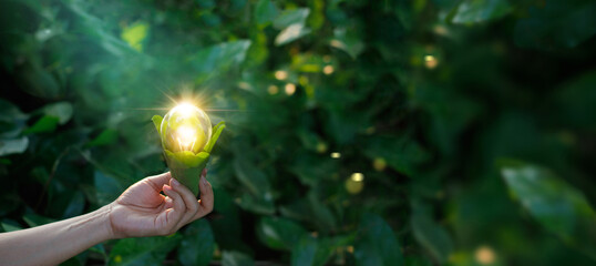 Wall Mural - hand holding light bulb against nature on green leaf with energy sources, sustainable developmen and