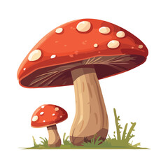 Canvas Print - Fresh fly agaric toadstool, a cute edible mushroom