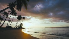 Summer Sunny Evening On A Palm Beach In Australia. Paradise Island In The Blue Ocean. Tropical Beach And Sunset Sea Background. Relaxation And Rest. Tropical Sea Coast. Evening Natural Landscape.