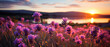 Lavendelträume: Eine idyllische Wiese voller wilder Blumen