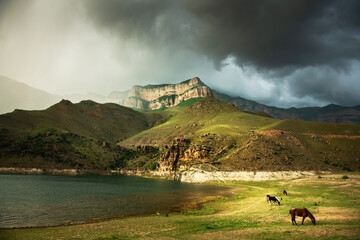 Wall Mural - Horses grazing on the shore of mountain lake. Gizhgit lake in North Caucasus, Russia.