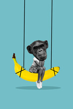 Vertical Composite Collage Illustration Of Funny Surreal Monkey Primate Hanging Swing Banana Eat Organic Food Isolated On Blue Background