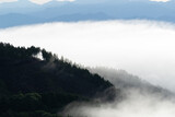 Fototapeta Las - 美しい雲海