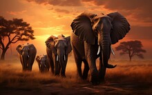 A Herd Of Elephants Walking Across A Grass Covered Field. AI