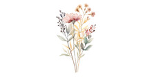 Watercolor Wildflower Element Bunch In Delicate Wallpaper