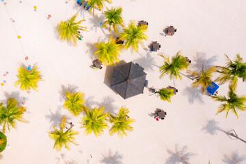 Poster - Seashore with palm trees and cafes. Coast as a background from top view.  Aerial landscape. Background from drone. Summer seascape from air. Vacation time.