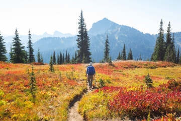 Canvas Print - Hike in autumn season