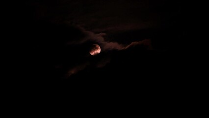 Wall Mural - full moon in the night sky emerging from clouds