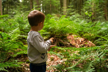 A 4 year old little boy exploring the forest and forest life, rear view. Summer vacation. Inquisitive kids in forest.