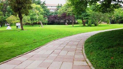 Wall Mural - 4k outdoor city garden greening environment street view