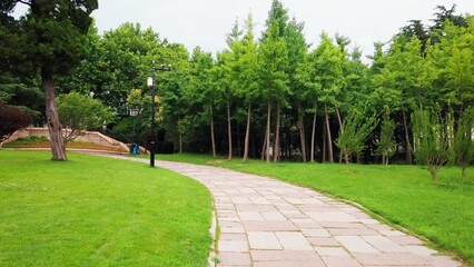 Wall Mural - 4k outdoor city garden greening environment street view