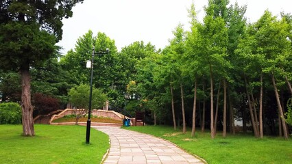 Wall Mural - 4k outdoor city garden greening environment street view