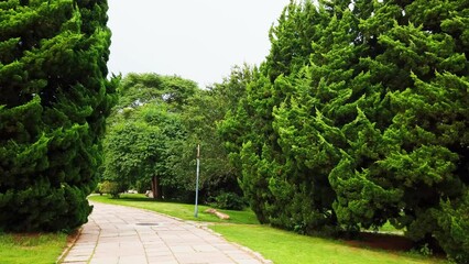 Wall Mural - 4k outdoor city garden greening environment street view