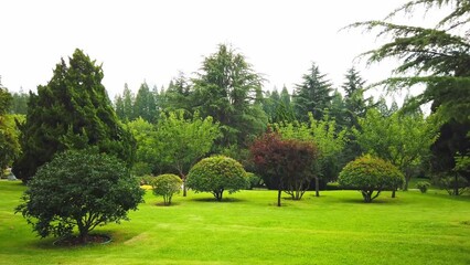 Wall Mural - 4k outdoor city garden greening environment street view