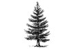 © Artem - Christmas tree vector illustration. Hand drawn, engraving, ink, sketch.