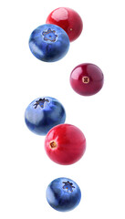 Poster - Falling cranberries and blueberries cut out