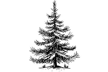 Christmas tree vector illustration. Hand drawn, engraving, ink, sketch.