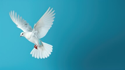 Wall Mural - A white bird flying through the air. Generative AI image.