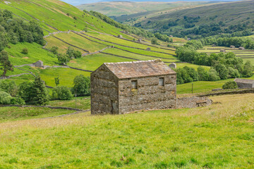 Wall Mural - The beautiful dale of Swaledale in Summer time, Yorkshire Dales, UK with sweeping fells, green meadows, drystone walling and stone barns or cow houses. Horizontal, Space for copy.